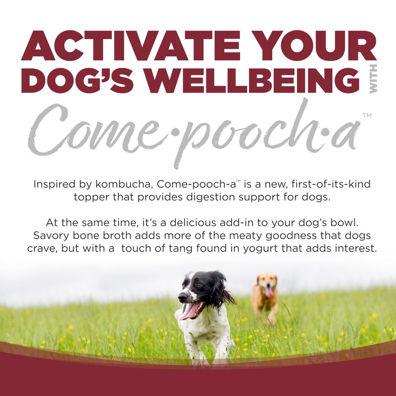 NutriSource Come-Pooch-A Variety Pack, Beef Bone Broth, Turkey Bone Broth,