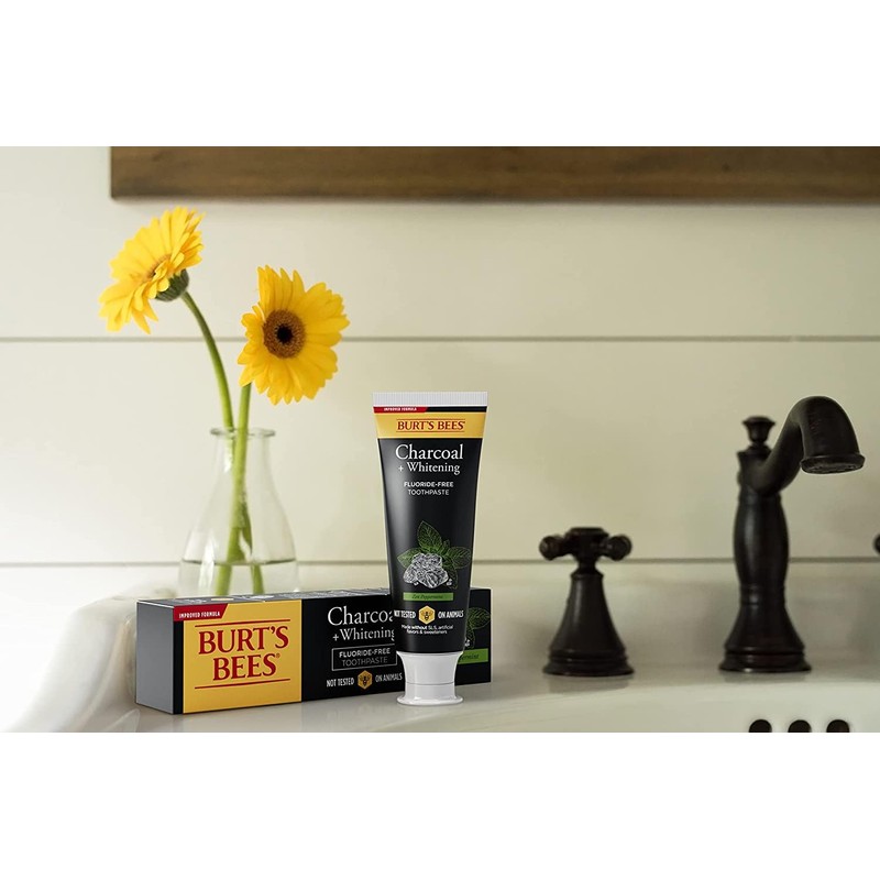 Burt's Bees Toothpaste, Natural Flavor, Charcoal Fluoride-Free Toothpaste, Zen Peppermint,