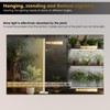 Standing Grow Light with Auto-Timer, 36W Vertical Grow Lights for