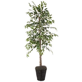 Vickerman 6-Feet Artificial Variegated Ficus Economy Tree in Decorative Container