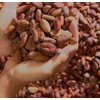 Cortes Instant Chocolate - Made in Puerto Rico by Cortes