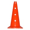 Agility Dog Sports, Multi-Purpose Cone with Holes, 40 cm, Various
