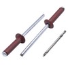 SKIR'CO Pack of 150 blind rivets painted 4.0 x 16