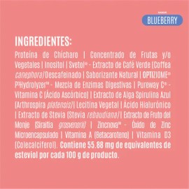 Birdman Protena Vegetal Fitmingo 510g Sabor Blueberry Blueberry                                                                                       