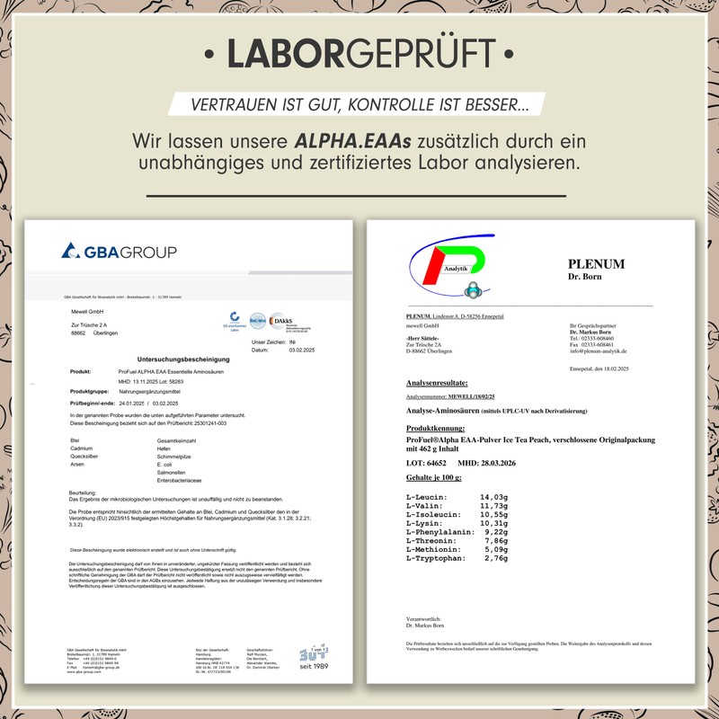 ProFuel Alpha EAA Pulver 2x462g CITRUS-INGWER - unglaublich leckeres EAA