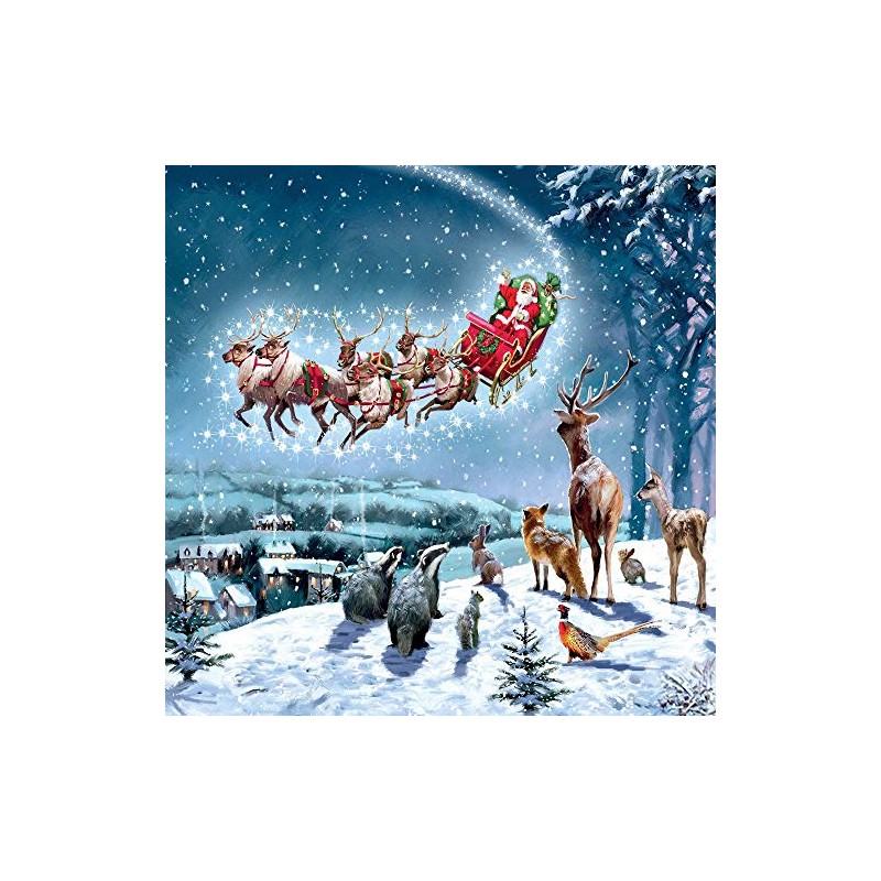 Santas Sleigh Woodland Animals Christmas Card