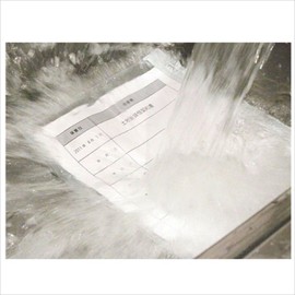 King WPS-A4SL Waterproof Document Case, A4 Size
