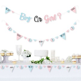 Big Dot of Happiness Baby Gender Reveal - Team Boy or Girl Party Letter Banner Decoration - 36 Banner Cutouts and Boy or Girl Banner Letters