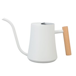 Indoor Watering Can Stainless Steel Wooden Handle Watering Pot with Long Spout for House Plants Flowers Succulents Bonsai 1L Matte White