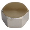 Esco EA432LG-2 G3/4 Inch Cap Nut (with Gasket)