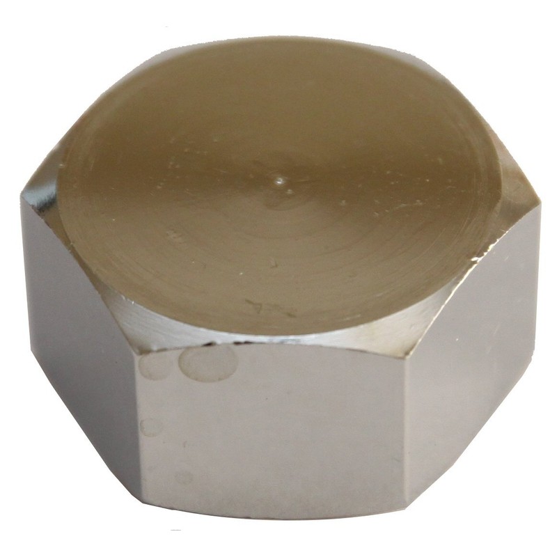 Esco EA432LG-2 G3/4 Inch Cap Nut (with Gasket)