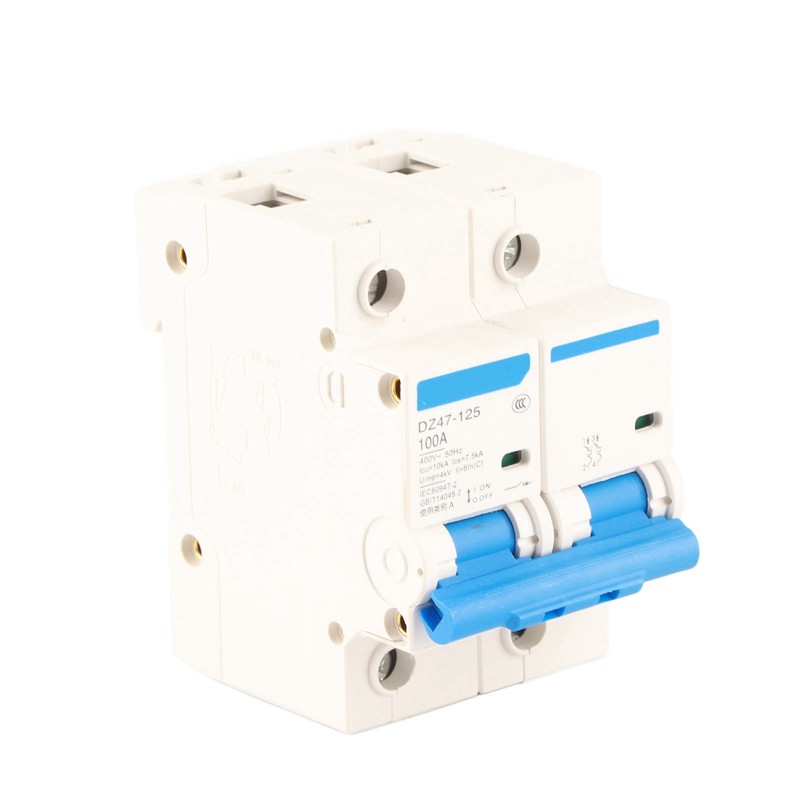 400V 80/100/125A Leakage Protection Switch DZ47‑125 2P​ Current Miniature Circuit