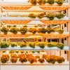LED Plant Growth Light Board Full Spectrum Supplement Light for