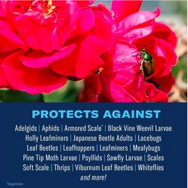 BioAdvanced 2-In-1 Systemic Rose and Flower Care, Granules For Insects, 5 lb