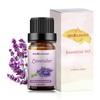 Sedbuwza Lavender Essential Oil, Pure Organic Lavender Fragrance Oil for