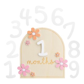 Meilensteinkarten Baby Holz,Baby Meilensteinkarten,Baby Monatliche Meilenstein Karten mit Klebepunkten Foto Requisiten für Kleinkinder von 0-12 Monaten Babyparty Wachstumsaufzeichnung