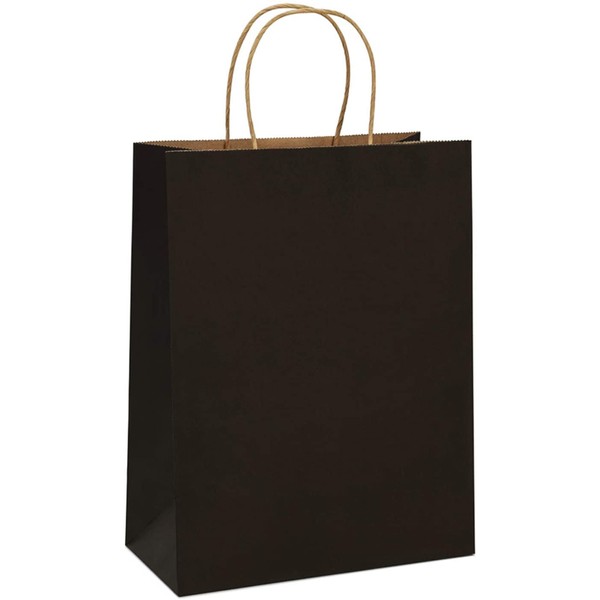 BagDream Gift Bags 10x5x13 Kraft Paper Bags 25Pcs Paper Shopping Bags, Mechandise Bags, Retail Bags, Party Bags, Black Paper Gift Bags with Handles, Recycled Paper Bags