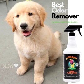 AABACO ENVIRONMENTAL PET ODOR ELIMINATOR AND STAIN REMOVER INDUSTRIAL STRENGTH-ENZYM - 5 GAL