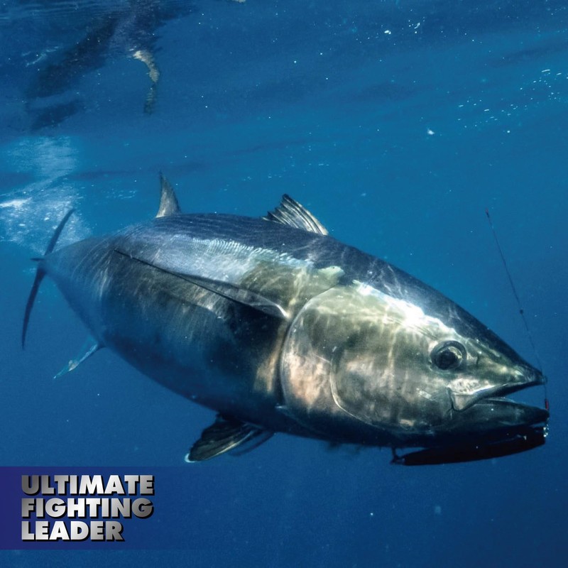 VARIVAS Ultimate Fighting Leader Invited Model (For Luring) 170LB-#5