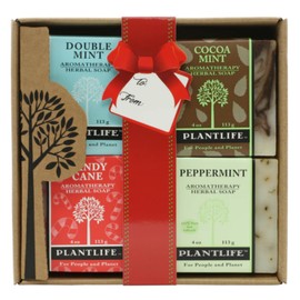 Plantlife Holiday Soap Combo 4 Pack – Holiday Mint - Includes Peppermint, Candy Cane, Cocoa Mint, and Double Mint - Moisturizing and Soothing Soap for Your Skin - Made in California 4 oz - Set of 4