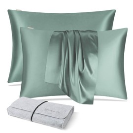 DISANGNI 100% Natural Mulberry Silk Pillowcase for Hair and Skin with Hidden Zipper, Both Sides 22 Momme Real Silk Pillow Case 2 Pack Standard Size 20x26 Inch, Light Green