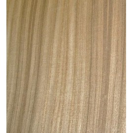 Walnut Australian Quarter Cut Wood Veneer 6" x 12" raw no Backing 1/42" Thick