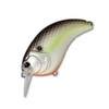 Depth Evoque 1.8 Part 1 #18 Black Back Shad
