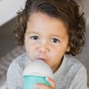 Boon Nursh Silicone Straw Sippy Cup Lid - Conversion Top