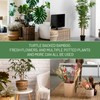 Yeomant 4PCS Iron Monstera Support, Uniquely Designed Plant Support Stakes