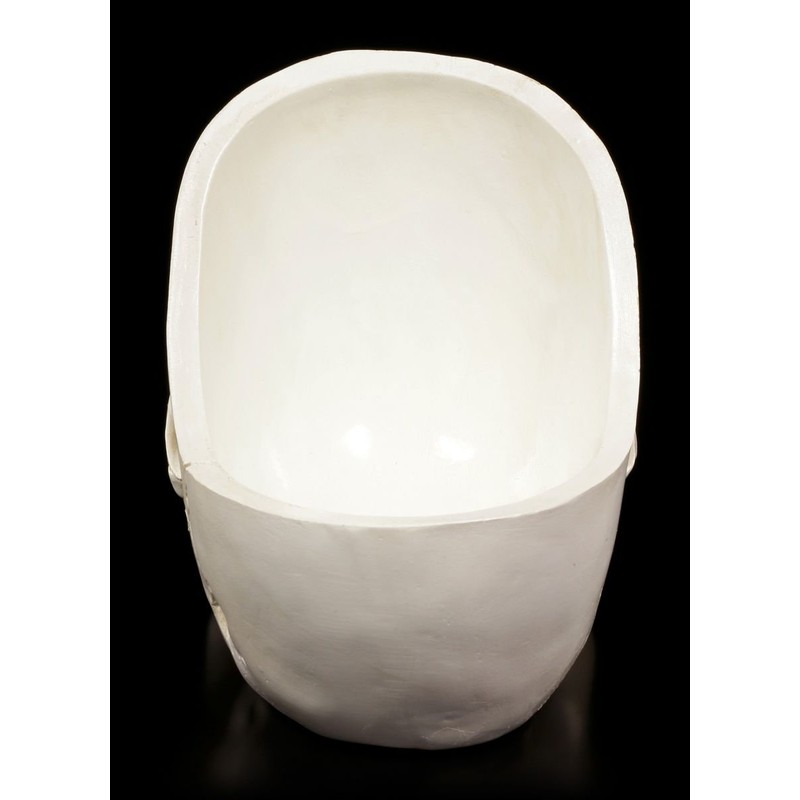 White Skull Bowl Decorative Fruit Bowl Skull