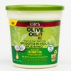 ORS Bordative Organic R/S Root Stimulator Olive Oil Smooth Pudding,