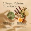 Gya Labs Calming Oil for Body (200ml) & Eucalyptus Roll