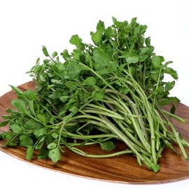 Domestic Watercress, Approx. 7.1 oz (200 g)