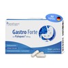 SanaExpert Gastro Forte with Pylopass, intestinal Treatment After antibiotics, bifido