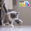 Fancy Pets Juguete Catch con Forma de Erizo Que Vibra