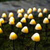 Solar Fairy Lights Outdoor LED Solar Light Mushroom String Light
