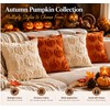 3D Plush Pumpkin Pillow Cover for Fall Decorating – Soft