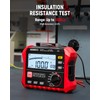 KAIWEETS HT5203 Megohmmeter, Insulation Resistance Tester, Up to 100GΩ, 50V/100V/250V/500V/1000V,