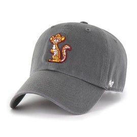 MINNESOTA GOLDEN GOPHERS VINTAGE '47 CLEAN UP