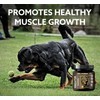 VITOFARMA Predator Muscle Builder Chewable Tablets for Dogs - Canine