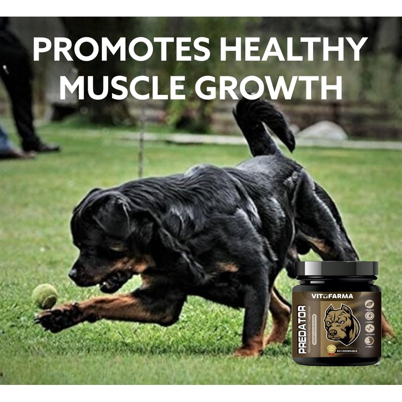 VITOFARMA Predator Muscle Builder Chewable Tablets for Dogs - Canine