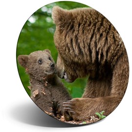 Destination Vinyl ltd Magnet for Refrigerator, Fridge - Mother Bear & Cub Baby Animals Cute for Office, Cabinet and Whiteboard, Magnetic Stickers, 8261