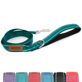 Pet & Posh Reflective Dog Leash - Premium Neoprene Padded Leash, Adjustable & Breathable Nylon for Safety and Style (Teal, 6 ft Standart)