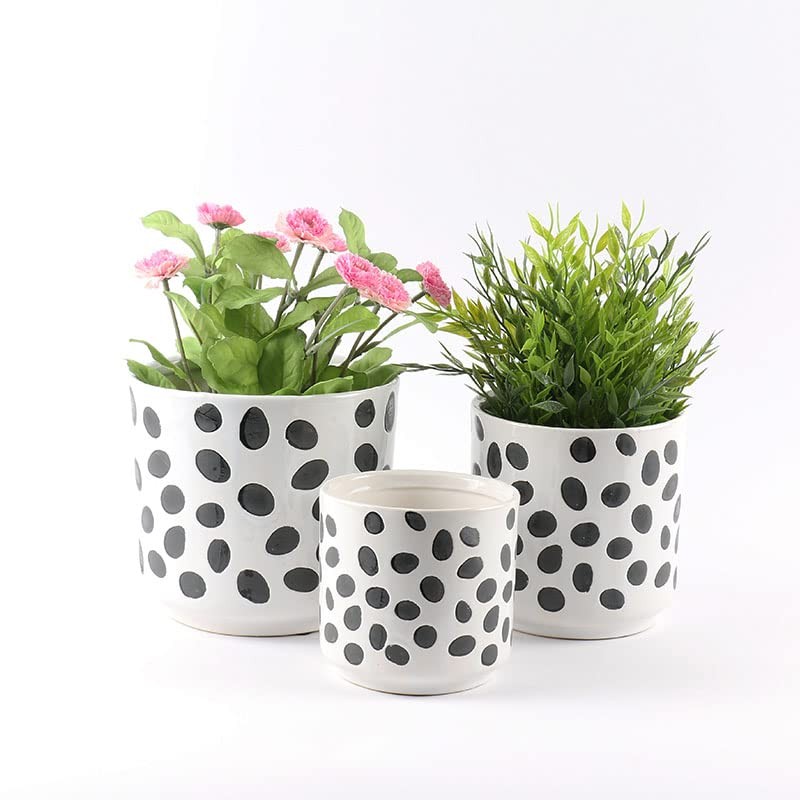 Sill and Sage Glossy Dot Pots, Black/White, Medium