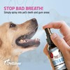 PetSilver Teeth & Gum Spray - Dog Dental & Teeth