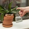 Kikkerland Handheld Glass Mister Mist Spray Bottle, Watering Can, Indoor/Outdoor