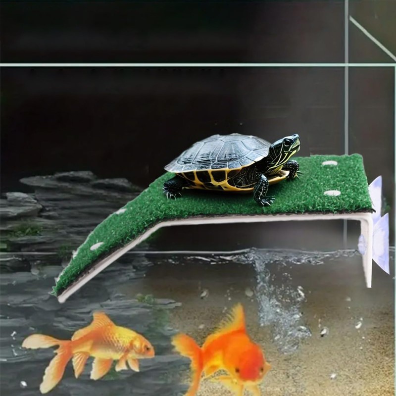 Turtle Docks for Basking | Aquatic Turtles Basking Land for