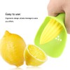 Lemon Squeezer with Splash Guard and Core Catcher, Fruit Press,