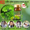 Ribeto Ginkgo Leaf Extract Plus, 30 Day Supply, Made in