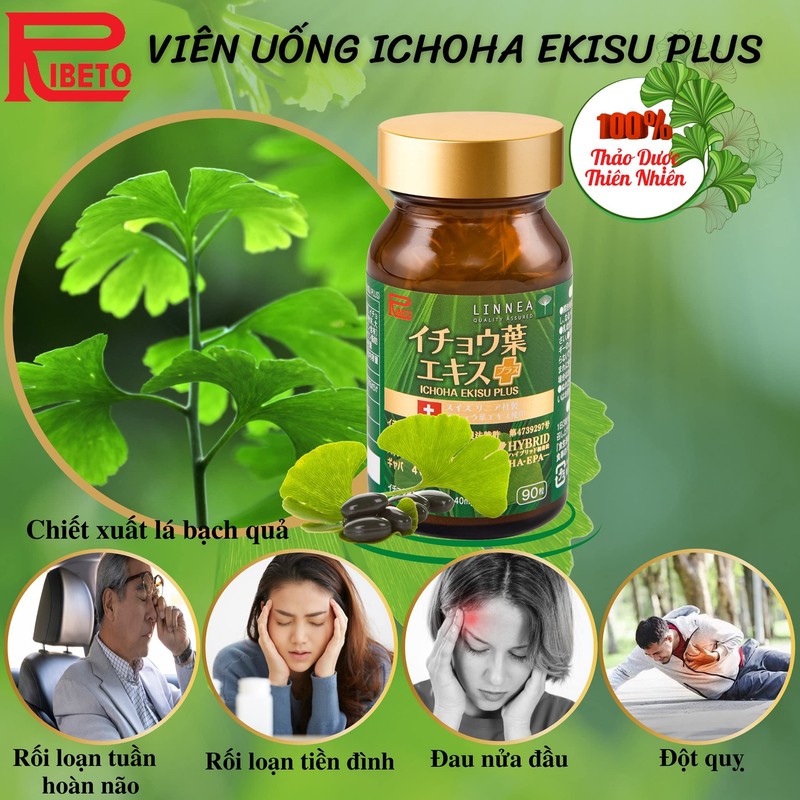 Ribeto Ginkgo Leaf Extract Plus, 30 Day Supply, Made in